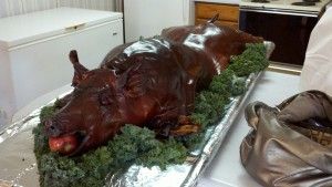 2011hog